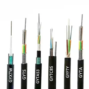 GYXTW/GYFTW/GYTS/GYXTC8S/ADSS 싱글 장갑 옥외 광섬유 케이블 (G652D)