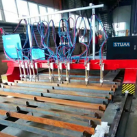 Máquina de corte de haz en H tipo grúa, multicabezal, llama y Plasma