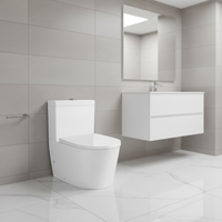 WC monobloc moderne en céramique blanche à double chasse, cuvette allongée sans bride, à poser au sol, avec siphon en P ou en S, pour la maison ou les hôtels