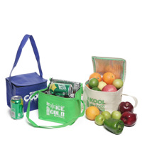 Sac isotherme pour poisson, sac isotherme pour bouteille, sac de plage avec compartiment réfrigérant – Vente directe usine