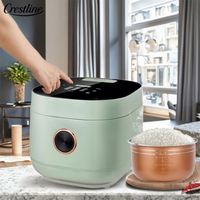 Cuisinière à riz électrique intelligente de style moderne 3L, accessoire de spatule, mini appareil de cuisine numérique, vente en gros d'usine pour usage domestique