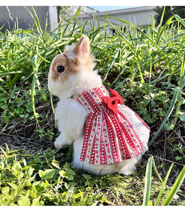 Nouvelle Robe en Coton Mignonne pour Lapin, Vêtements pour Chat, Noeud Papillon, Jupe Florale pour Lapin, Robe de Haute Qualité pour Animaux de Compagnie - Product Image 3