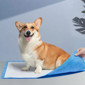 Tapis absorbant pour chien à 8 couches, pour l'entraînement à la propreté, avec impression personnalisée, tapis d'alimentation pour chien, tapis adhésifs pour chien - Product Image 6