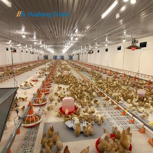 Système d'alimentation avicole automatique avec vis sans fin et mangeoire à plateau pour élevage au sol de poulets de chair - Product Image 3