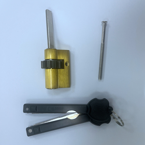 Nhà máy cung cấp <span class=keywords><strong>Israel</strong></span> Lỗ mộng cửa xi lanh Hệ thống khóa Lỗ mộng xi lanh chức năng khẩn cấp cao an ninh khóa xi lanh - Product Image 3