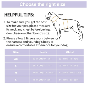 Kingtale <span class=keywords><strong>Pet</strong></span> <span class=keywords><strong>Supplies</strong></span> Impermeable PVC Sin Tirones Arnés Ligero Perro Correa <span class=keywords><strong>Collar</strong></span> - Product Image 4