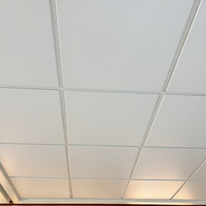 Vẻ đẹp đông 600x600 đặc điểm kỹ thuật nhôm coustical trần giả Bảng điều khiển - Product Image 3