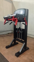 Gym Fitness Equipment Exercices Pin Loaded Exercices Arm Workout Trainer Machine d'avant-bras