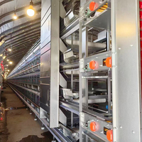 Cage d'élevage de poulets de type H entièrement automatique avec système de ramassage de fumier, d'alimentation et d'abreuvement automatiques pour la volaille aux Philippines