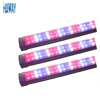 Lampe horticole de croissance led T8, 120/40W, 1000 m, 4 pieds, éclairage vertical/intérieur, pour culture hydroponique de plantes