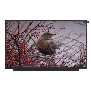 NT156FHM-N62 PCBA 16:9 Laptop datar, layar tampilan Panel layar LCD 15.6 inci 1920*1080 FHD 220Nits 60Hz 30pin - Product Image 1