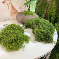 Gazon artificiel en mousse, décoration paysagère, bonsaï, pavage, tapis simulé, gazon synthétique vert foncé