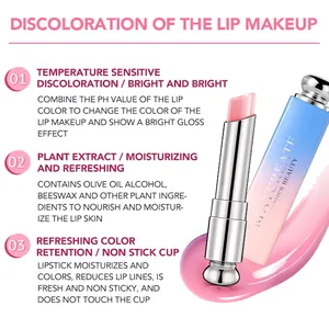 Label Pribadi Tersedia Perubahan Warna Pelembap Bibir 3G Pelembap 3 Warna Lipstik Tahan Air Tahan Lama Pabrik Grosir