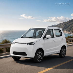DomeRide EEC, Vehículo Eléctrico Pequeño para Países de la UE, Venta Directa de Fábrica China, Mini Vehículo Eléctrico de 4 Ruedas para Desplazamientos Urbanos - Product Image 2
