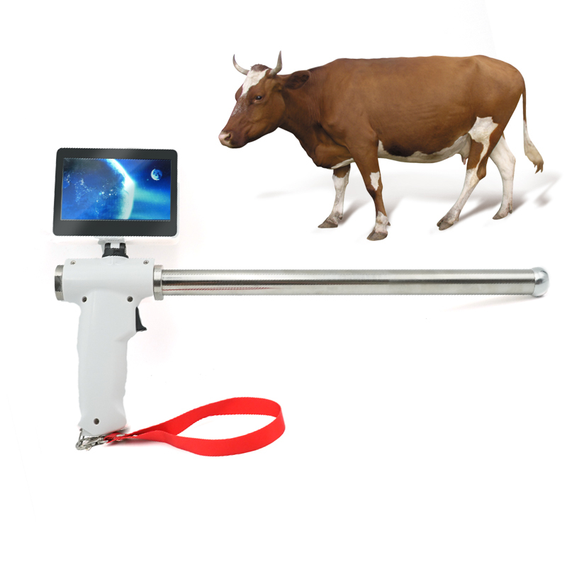 Rabbit Artificial Insemination Gun Veterinary AI