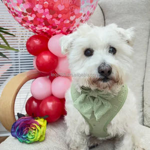 Harnais pour chien de luxe vert en forme de cœur 3D réglable - Anti-traction/anti-étranglement pour chiens de petite/moyenne/grande taille - Product Image 2