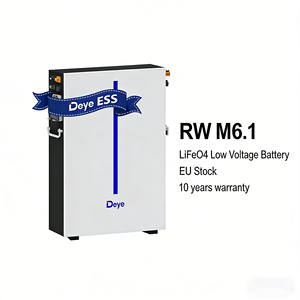 Batteria per Accumulo Energetico RW-M6.1 con 10 Anni di Garanzia, 51.V 120AH, Protezione IP65, Montaggio a Parete/Pavimento, Batteria agli Ioni di Litio Lifepo4 - Product Image 1