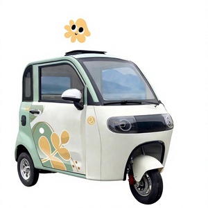 Triciclo Eléctrico Totalmente Cerrado <span class=keywords><strong>para</strong></span> Uso Doméstico, Scooter de Movilidad Pequeño <span class=keywords><strong>para</strong></span> Mujeres, Cámara de Reversa, Motor de Subida, Gran Espacio - Product Image 6