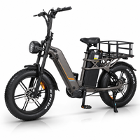 Vélo cargo électrique 48V à double batterie au lithium pour livraison de repas, moteur double 2000W, pneus larges 20 pouces, direct usine