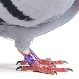 Duivenringen <span class=keywords><strong>Model</strong></span> Aluminium Metaal Duivenring 8mm Pootring Band Duivenmerk Poot - Product Image 2