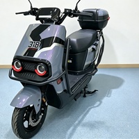 Vente en gros d'usine OEM ODM Moto électrique 1000W E-Moto 60V Haute Vitesse Moto Électrique E-Scooter et Moto