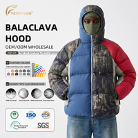 Doudoune à Capuche Homme en Duvet d'Oie 800FP Haute Qualité - Manteau Chauffant de Mode Urbaine Premium