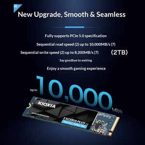 Kioxia VD10 1TB/2TB High-Speed NVMe PCIe 5.0 Desktop/Laptop <b>SSD</b> M2 2280 Model LVD10Z001TC8/LVD10Z002TC8 LVD10Z001TC8, LVD10Z002T - Product Image 4