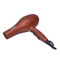 Sèche-cheveux professionnel avec diffuseur ionique négatif en plastique, bouton d'arrêt rapide, pour hôtels et usage domestique, sèche-cheveux électrique de salon