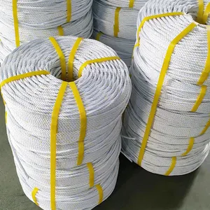 Prodotto di vendita caldo di alta qualità 3 filo di corda Danline con giallo 6MM 8MM 10MM polipropilene PP corda di vendita calda On Line