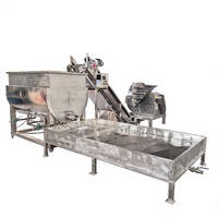 Machine automatique de découpe et de décongélation horizontale pour viande de bœuf et de mouton congelée, capacité 800L-2000L
