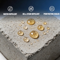 Scellant pour béton hydrofuge transparent anti-efflorescence pour allées et patios WH6995