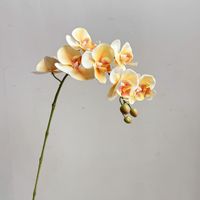 Anggrek Phalaenopsis Buatan Tangan dari Lateks Real Touch, Batang 81cm, 7 Kepala, Dekorasi Vas Tengah Meja, Pernikahan, Hari Ibu