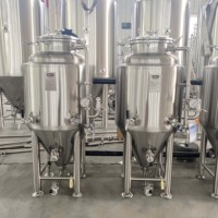 Cuve de Fermentation Conique 300L en Acier Inoxydable 304 de Haute Qualité avec Enveloppe à Cavités pour Équipement de Brassage de Bière, Récipient Sous Pression