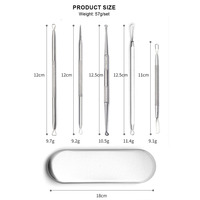 Kit d'outils de dissolvant de points noirs de voyage de haute qualité Pimple Popper 5 pièces ensemble d'aiguilles d'acné pour extracteur de défauts Zit avec boîtier en métal
