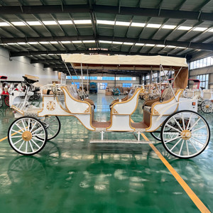Carruaje Eléctrico de Lujo Personalizado de Alta Gama, Estilo Clásico Real Europeo, con Parasol y Color Personalizado, para Turismo - Product Image 5