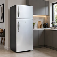 Réfrigérateur congélateur double porte 218L de haute qualité avec plaque métallique durable pour cuisine