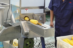 Automatic Sweet <strong>Corn</strong> Maize <strong>Kernels</strong> Production Shelling Peeling Washing Blanching Dewatering Drying Processing Line - Product Image 2