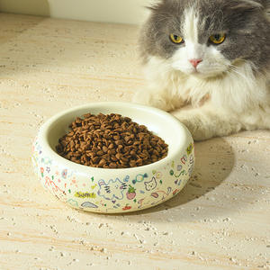 Doe Pet Bol en céramique surélevé de forme arrondie pour animaux de compagnie, avec large ouverture - Product Image 3