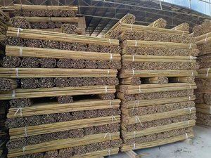 Varas de Bambú Chino Tonkin de Diámetro Pequeño, Anticorrosivas, para Uso Agrícola, Viveros, Jardines, Cercas, Astas de Banderas - Product Image 5