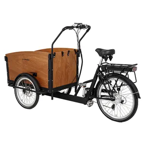 Di alta qualità lucido tre ruote in acciaio elettrico Cargo Bike per adulti passeggeri triciclo elettrico con corpo aperto tipo