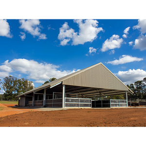 Structure en acier léger à faible coût, bâtiment préfabriqué pour chevaux/chèvres/moutons/bovins, bâtiment agricole, poulailler, hôtel, abri pour bétail - Product Image 3