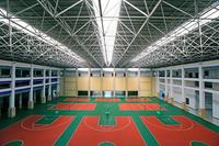 Nouveau modèle Structure métallique préfabriquée en acier Construction de gymnases Structure de toit de stade Structure d'espace