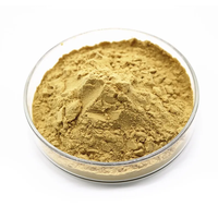 Poudre de Gingembre et de Pinellia en Vrac de Qualité Supérieure, Extrait Végétal Naturel à Mailles Fines, Fourniture Directe Usine