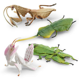 Simulación de insecto animal modelo <span class=keywords><strong>Mantis</strong></span> Skelleri hoja <span class=keywords><strong>orquídea</strong></span> <span class=keywords><strong>Mantis</strong></span> Decoración - Product Image 1