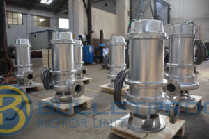 Bomba de Aguas Residuales a Prueba de Explosiones de 2-10 Pulgadas, de Alta Resistencia y Bajo Mantenimiento, Trifásica, 50/60Hz, de Hierro Fundido - Product Image 4