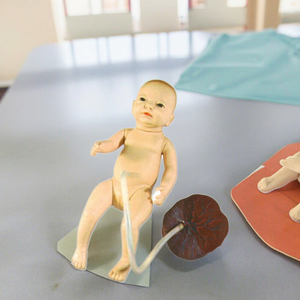 Mô hình chăm sóc dây rốn trẻ sơ sinh bằng nhựa bền mô phỏng nhau thai cho đào tạo y tá sau sinh Trong Khoa Học Y Tế - Product Image 6