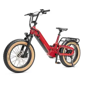 Mario Factory 750w BAFANG mozzo posteriore motore a sospensione completa Ebike grasso pneumatico E bici