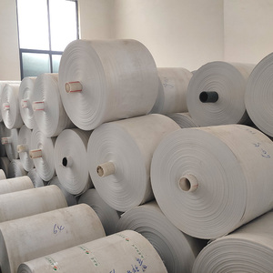 Tela <span class=keywords><strong>de</strong></span> polipropileno tejido en rollo, tamaño OEM, <span class=keywords><strong>precio</strong></span> directo <span class=keywords><strong>de</strong></span> fábrica - Product Image 1