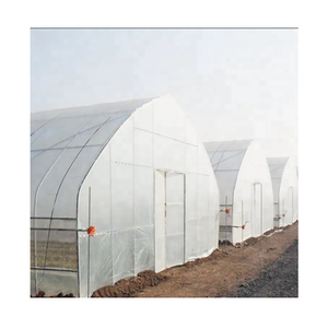 Nhà kính đường hầm - Product Image 1