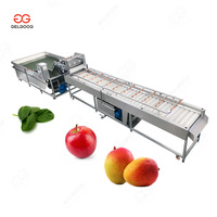 Industriële Vruchten Schoonmaken Verwerking Bosbes Aardbei Ananas Wasmachine Fruit Wasmachine Prijs
